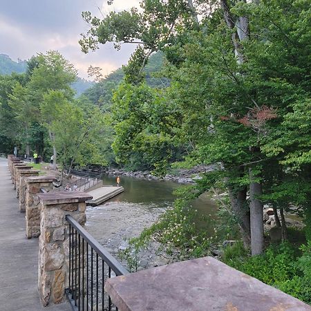 Bear Necessities, Luxury 5Bd Mtn Views, Hot Tub, Many Bear Sightings Villa Gatlinburg Exteriör bild