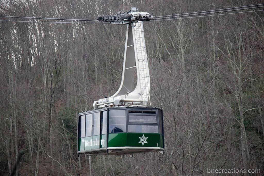 Bear Necessities, Luxury 5Bd Mtn Views, Hot Tub, Many Bear Sightings Villa Gatlinburg Exteriör bild