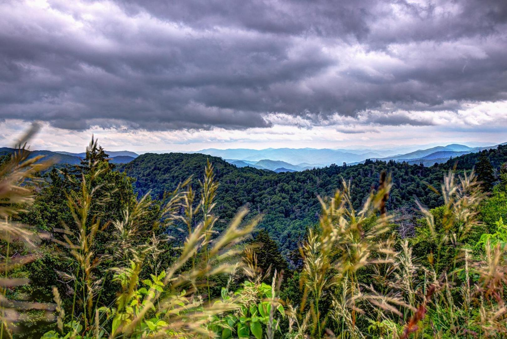 Bear Necessities, Luxury 5Bd Mtn Views, Hot Tub, Many Bear Sightings Villa Gatlinburg Exteriör bild