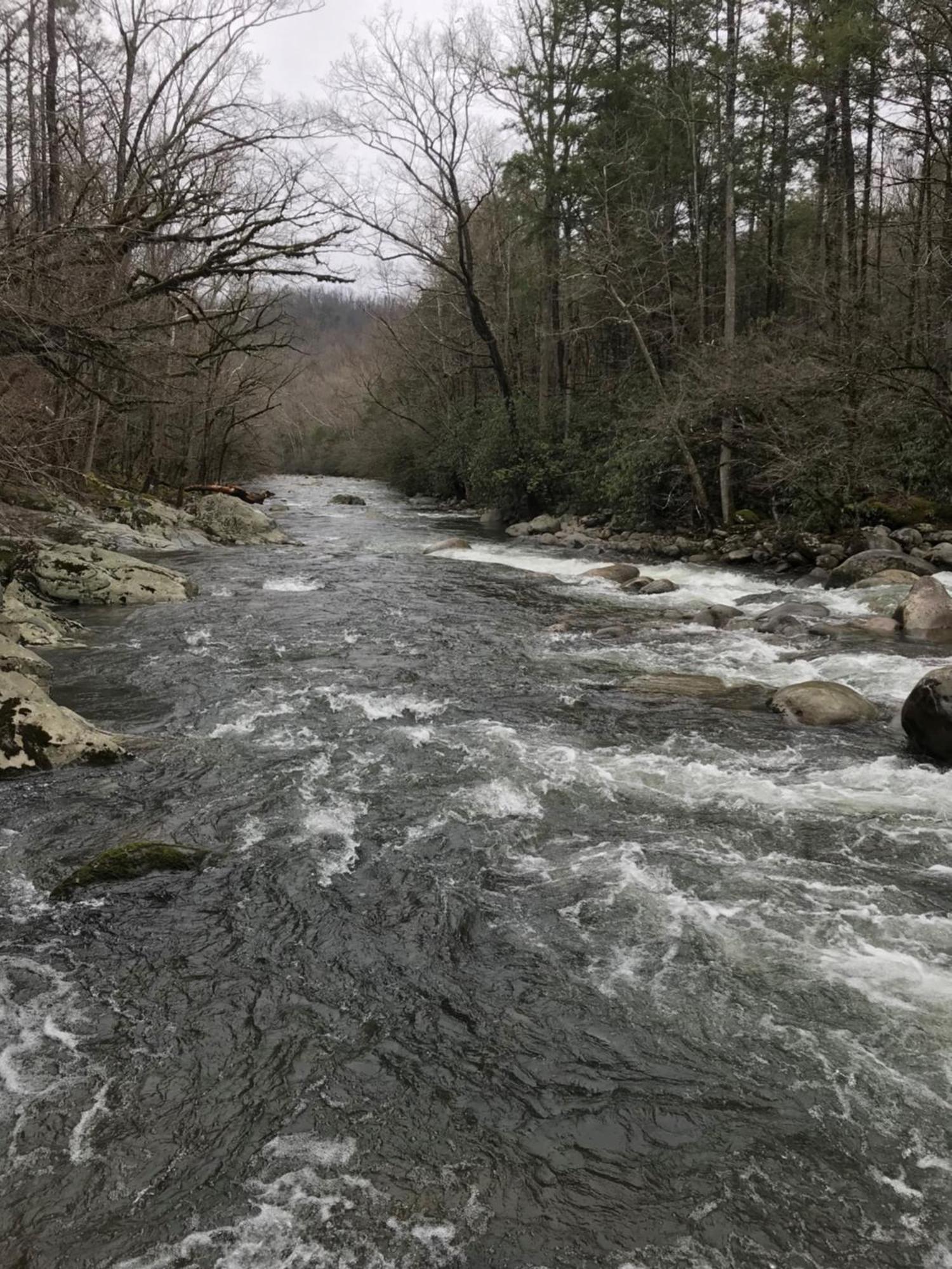Bear Necessities, Luxury 5Bd Mtn Views, Hot Tub, Many Bear Sightings Villa Gatlinburg Exteriör bild