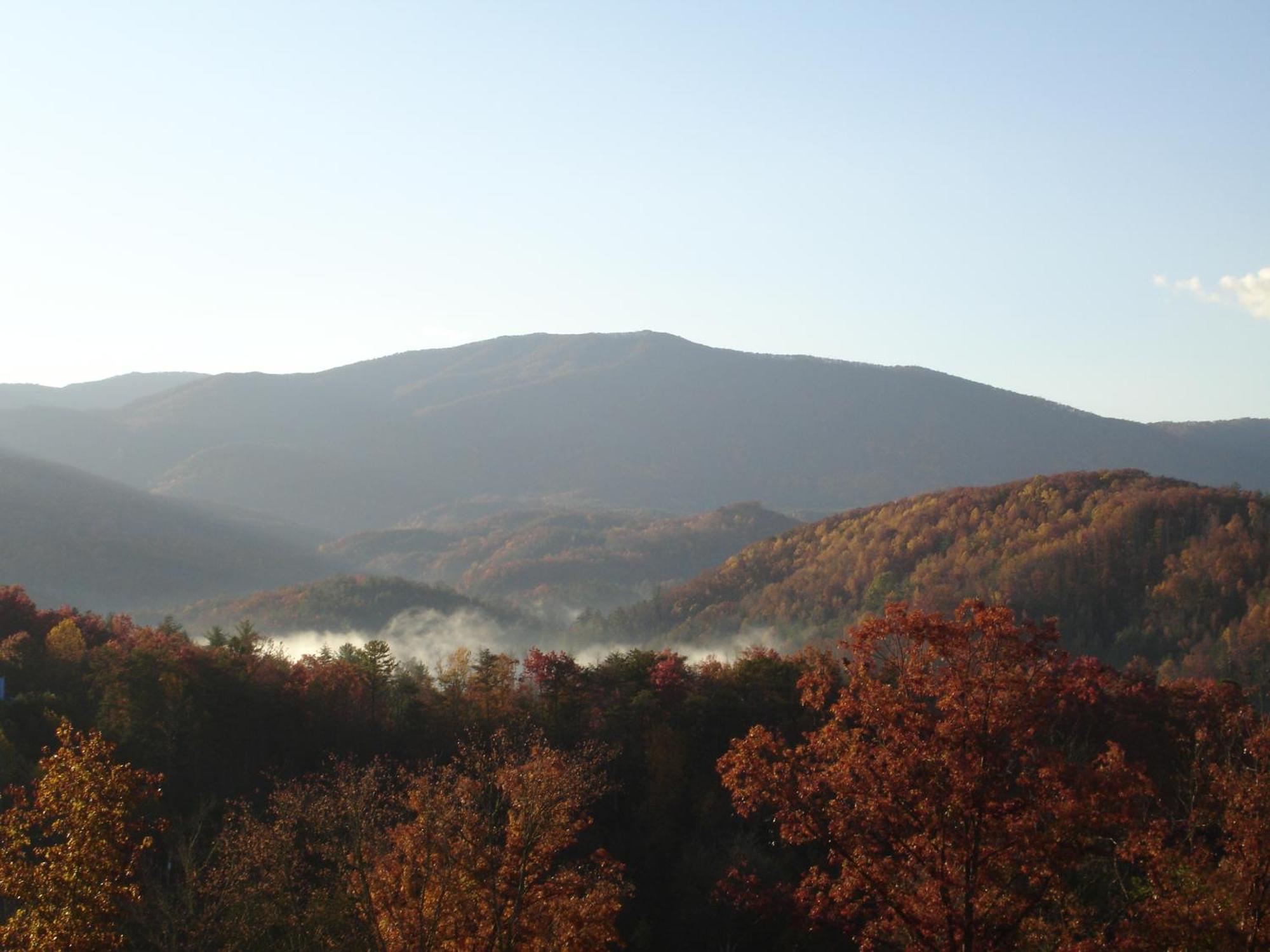 Bear Necessities, Luxury 5Bd Mtn Views, Hot Tub, Many Bear Sightings Villa Gatlinburg Exteriör bild