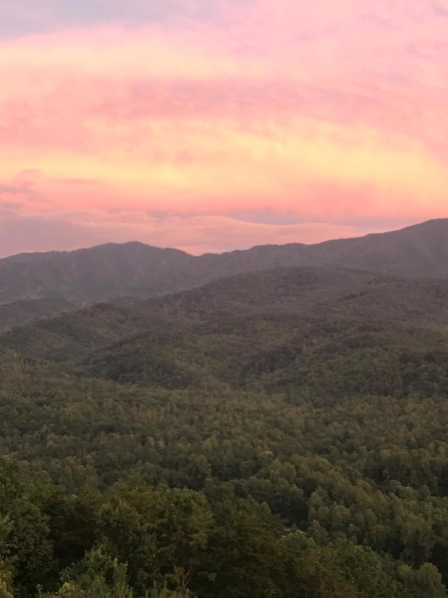Bear Necessities, Luxury 5Bd Mtn Views, Hot Tub, Many Bear Sightings Villa Gatlinburg Exteriör bild