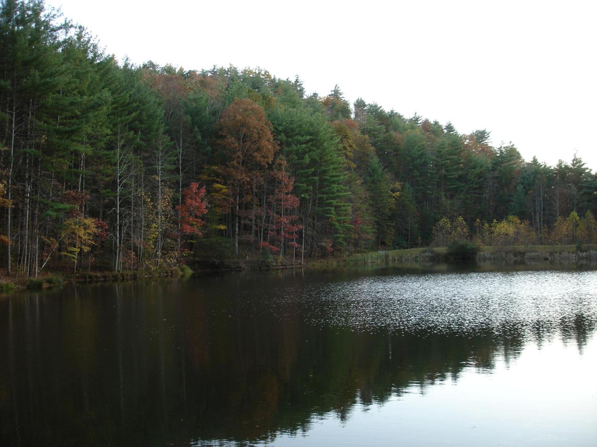 Bear Necessities, Luxury 5Bd Mtn Views, Hot Tub, Many Bear Sightings Villa Gatlinburg Exteriör bild