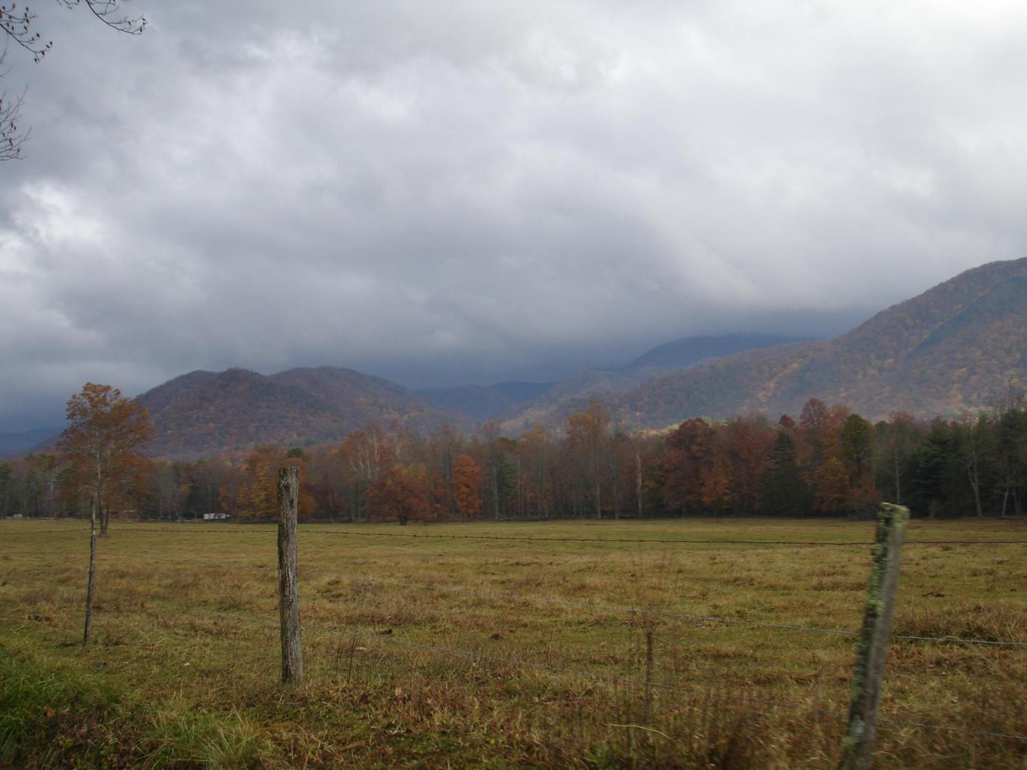 Bear Necessities, Luxury 5Bd Mtn Views, Hot Tub, Many Bear Sightings Villa Gatlinburg Exteriör bild