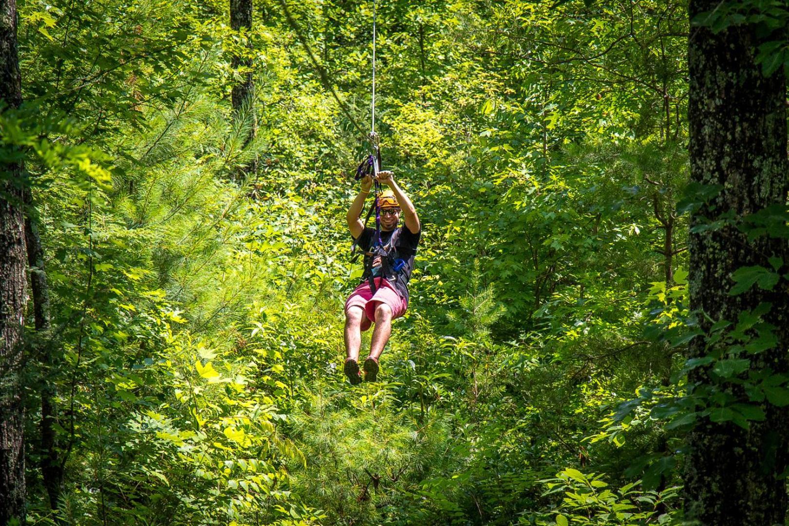 Bear Necessities, Luxury 5Bd Mtn Views, Hot Tub, Many Bear Sightings Villa Gatlinburg Exteriör bild