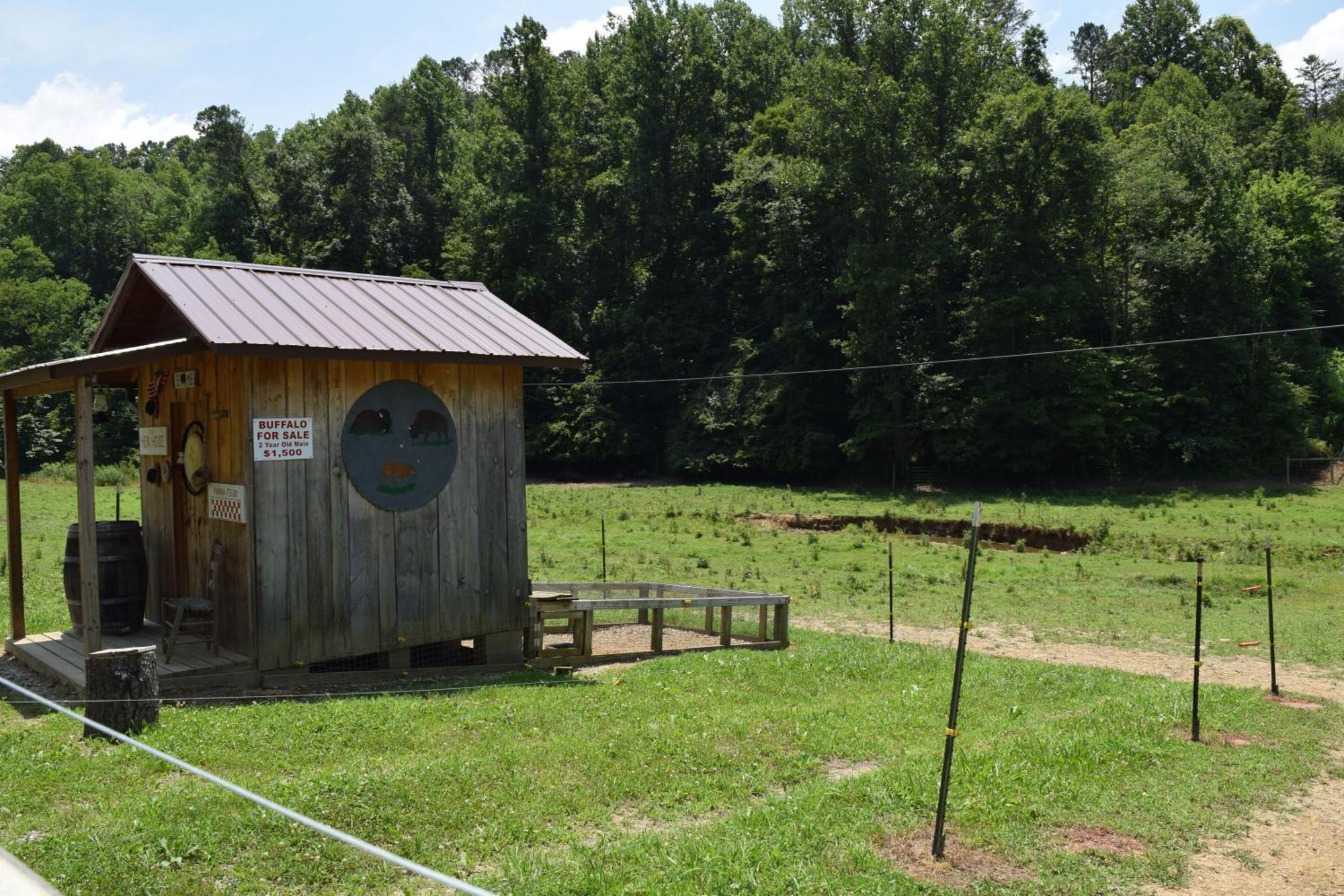 Bear Necessities, Luxury 5Bd Mtn Views, Hot Tub, Many Bear Sightings Villa Gatlinburg Exteriör bild