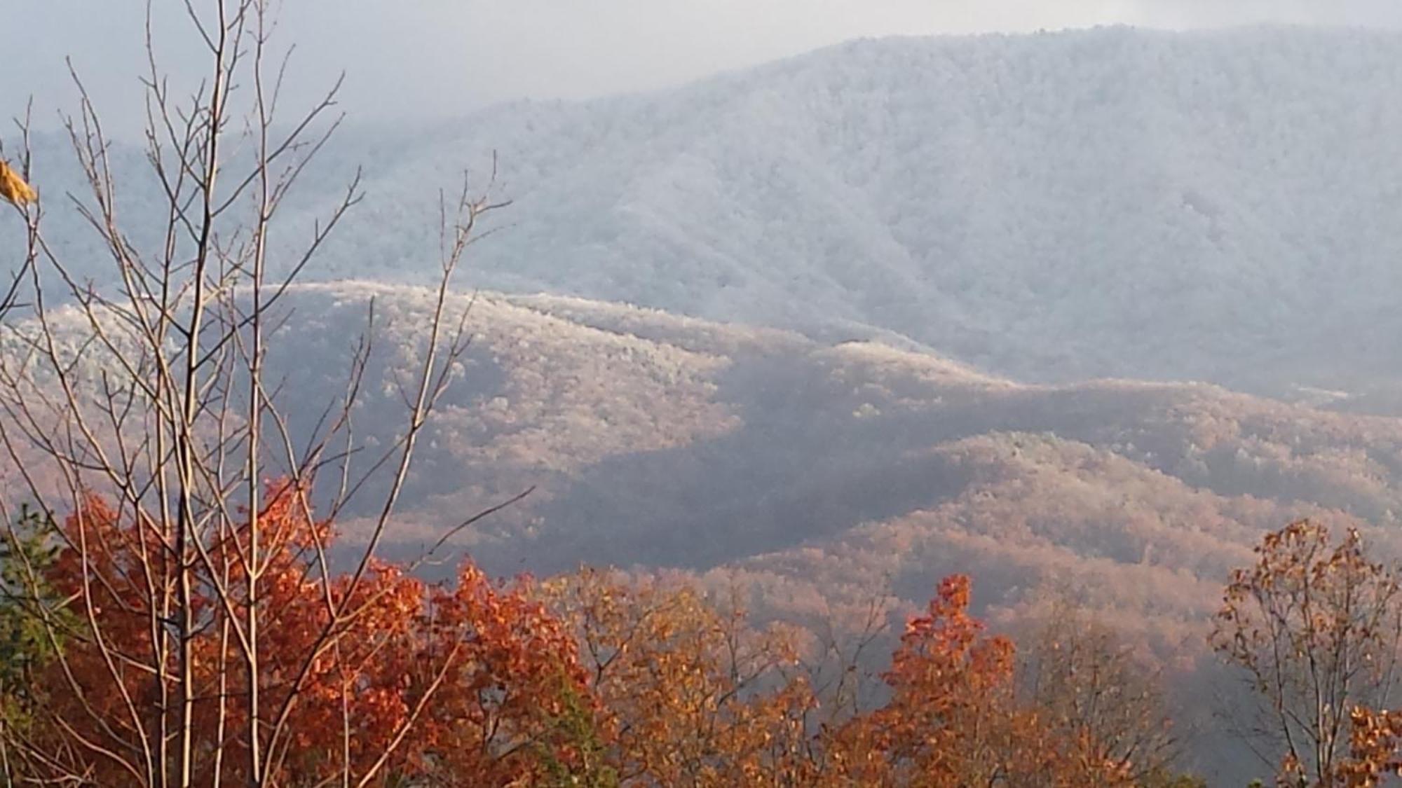 Bear Necessities, Luxury 5Bd Mtn Views, Hot Tub, Many Bear Sightings Villa Gatlinburg Exteriör bild